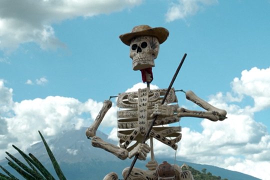 Įspūdinga meksikietiška Mirusiųjų diena: dėl ypatingų eksponatų atvyksta ne tik vietiniai