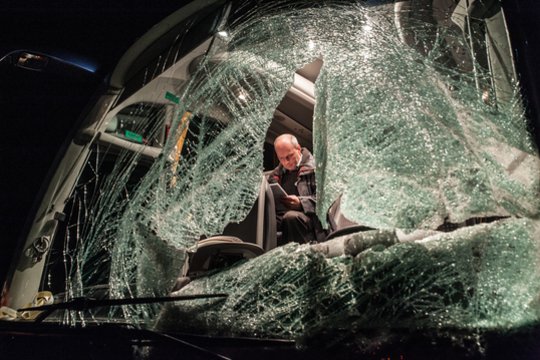 Pasidomėjome, kiek naudos iš švilpukų gyvūnams baidyti: mokslininkai išaiškino, kodėl pavojinga tikėti, kad jie padeda
