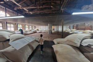 Nauja architektūros era kuriama iš mėšlo, vandens ir robotų