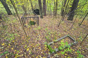 Kauno miške slepiasi visų užmirštos kapinės: čia nėra kryžių ir niekas nebeuždega žvakių