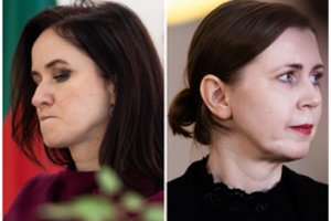 Tai atskleidė kur kas daugiau nei I. Ruginienės žodžiai: pasišlykštėjimas, pyktis ir gerai apskaičiuoti žingsniai