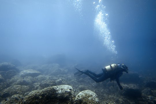 Jūros dugne mokslininkai aptiko nerimą keliančius ženklus: mastas nustebino juos pačius