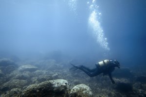 Jūros dugne mokslininkai aptiko nerimą keliančius ženklus: mastas nustebino juos pačius