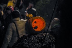 Piktinasi, bet eilių galo nematyti: vyksta iš visos Lietuvos, už patekimą ir susimoka