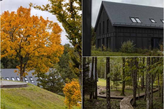 Neįtikėtina – Dzūkijos miško gilumoje duris atvėrė įspūdinga vieta: apsilankyti gali kiekvienas