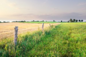 Žemės savininkų laukia rimti pokyčiai: tai taps praeitimi