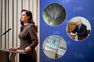 Savaitgalio įvykiai – pramiegoti? Delsimas, sušlubavusi I. Ruginienės gramatika ir pradingęs G. Nausėda