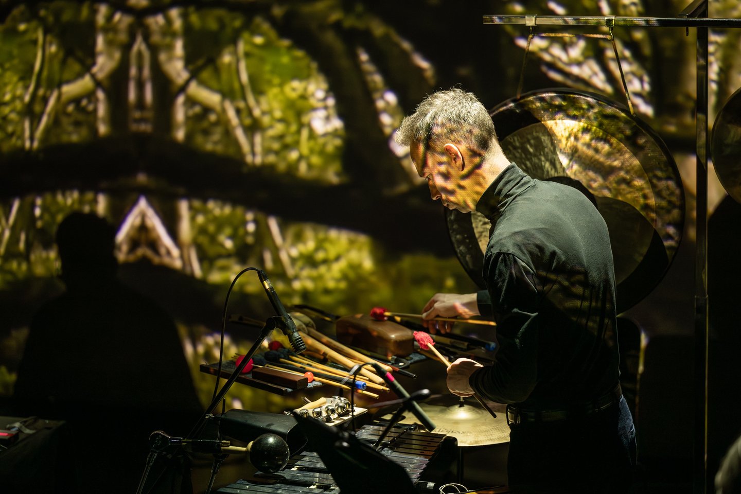 Koncertas.<br>K.Bingelio nuotr.