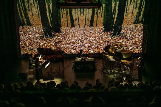 Festivalio „Gaida“ dienoraštis, penktoji diena: „Kwartludium“, audiovizualinis koncertas