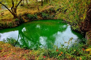 Vilijampolėje – sujudimas dėl žalios spalvos nuotekų: švenčiama Šv. Patriko diena?