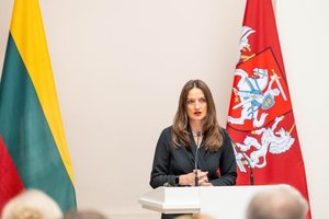 Aukščiausiojo teismo pirmininkė Danguolė Bublienė: teismų finansavimas įstrigo tarp politikos ir Konstitucijos