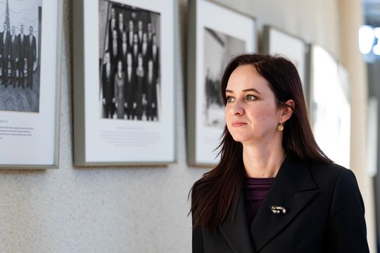 I. Ruginienė – apie J. Taminsko galimybę tapti krašto apsaugos ministru: turime patys partijoje apsispręsti