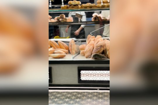 Kepinių pilnoje vitrinoje – žiurkės pėdsakai: sučiupti nebuvo taip paprasta