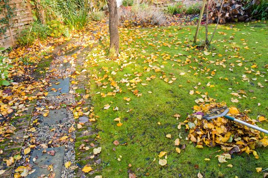 Rudens atliekos, kurios gali sutaupyti šimtus eurų, esmė – išmokti jas naudoti teisingai