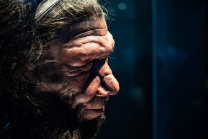 Jau po 20 metų galėtume „prikelti“ neandertaliečius – tik ar tikrai turėtume?