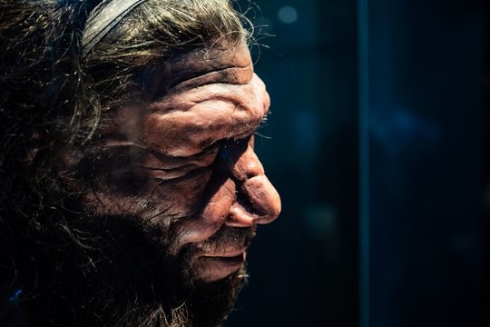 Jau po 20 metų galėtume „prikelti“ neandertaliečius – tik ar tikrai turėtume?