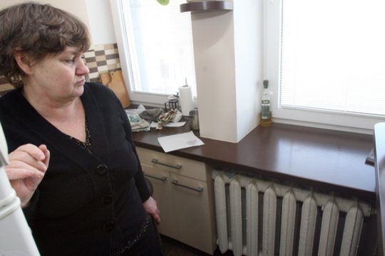 Vamzdynai miestuose – ne tik šildymui: tikina, kad daugelis šalių mums pavydi