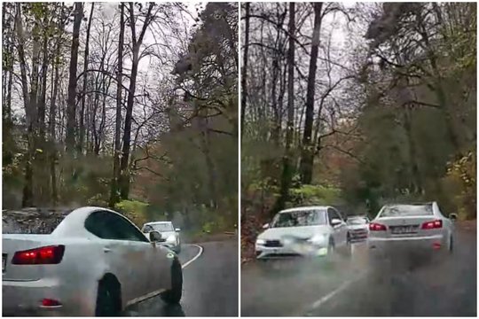 Po „Lexus“ smūgio į medį – šokiruojantis vaizdo įrašas: nustėro išvydę, ką išdarinėjo