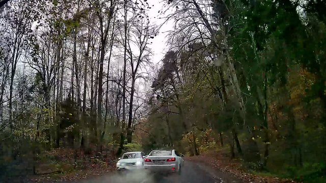 Per plauką nuo didžiulės tragedijos: nesuvaldęs automobilio „Lexus“ jaunuolis rėžėsi į medį ir apvirto