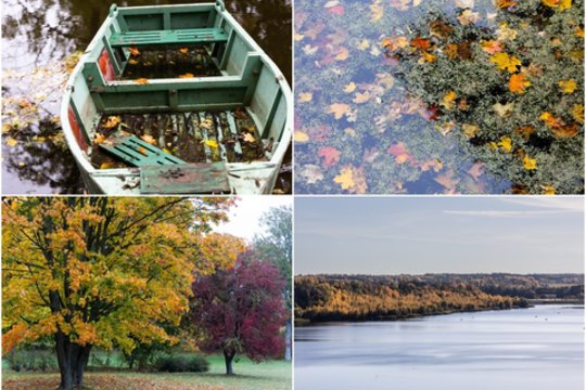 Lietus ir vėjas spalvingo peizažo nesugadino: pasigrožėkite į paskutinį rudens mėnesį keliaujančios gamtos vaizdais