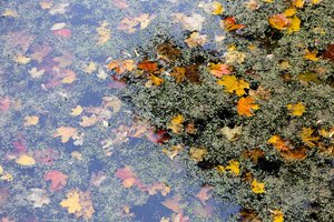 Spalio pabaiga Lietuvai bus dosni krituliais: lietaus išvengti nepavyks niekam