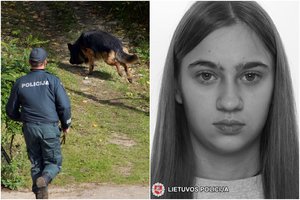 Vilniuje dingo 14-metė: paieška trunka jau beveik du mėnesius