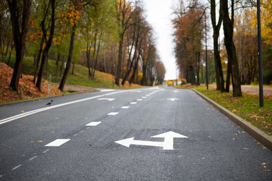 Po kapitalinio remonto atidaroma judri Kauno gatvė: keičiasi eismo tvarka ir viešojo transporto maršrutai