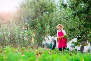 Pamatę Reginos iš Kelmės lapkričio mėnesio triuką – daržininkai keičia savo įpročius