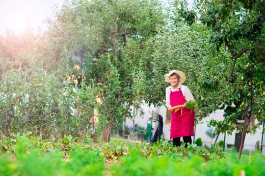 Pamatę Reginos iš Kelmės lapkričio mėnesio triuką – daržininkai keičia savo įpročius