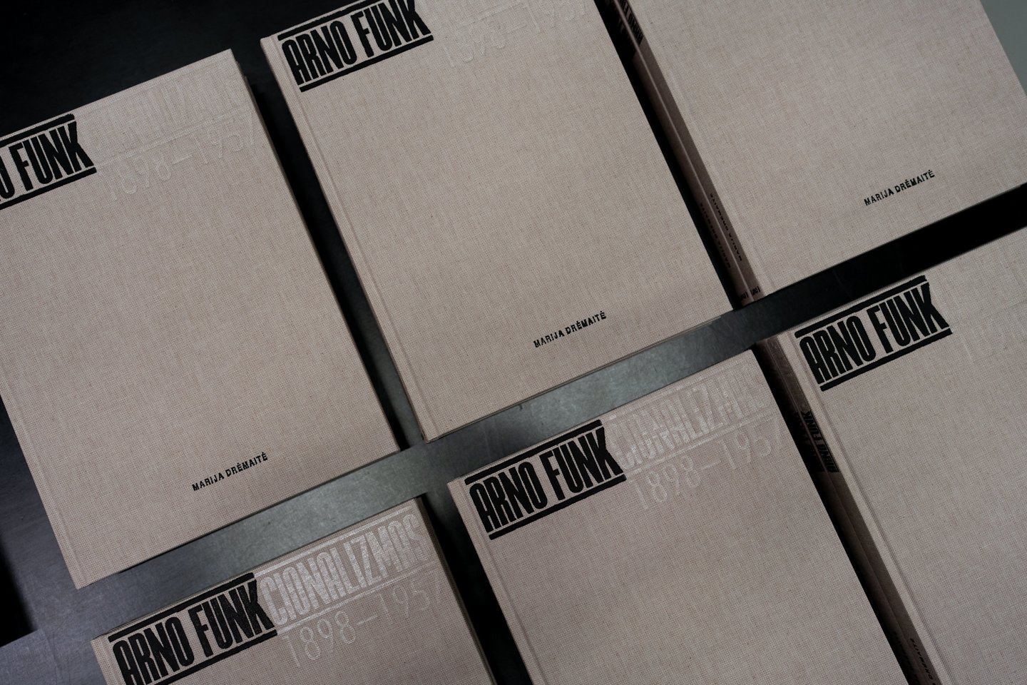 M.Drėmaitės knygos pristatymas.<br>T.Stuko nuotr.