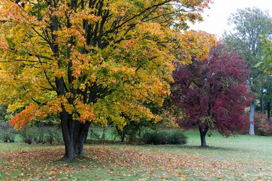 Sinoptikai skelbia orų prognozę Vėlinių savaitgaliui
