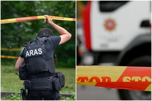 Radus įtartiną daiktą, Raseinių r. buvo įvestas planas „Skydas“, ant kojų sukeltas „Aras“