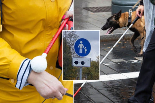 Užsienietis nusistebėjo pamatęs Lietuvoje naudojamą kelio ženklą: nesu niekur tokio matęs