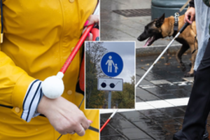 Užsienietis nusistebėjo pamatęs Lietuvoje naudojamą kelio ženklą: nesu niekur tokio matęs