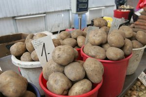 Bulvių kainų skirtumai tarp regionų gali nustebinti: skelbia, kuriame mieste jos yra pigiausios