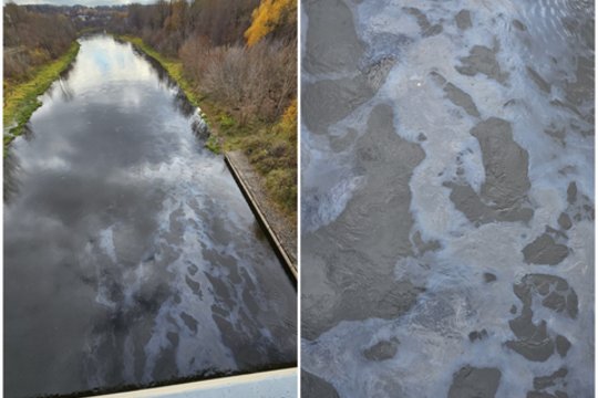 Išvydę vaizdą Neryje vilniečiai reikalauja imtis veiksmų: ką užfiksavo