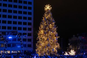 Paaiškėjo daugiau detalių apie Kauno Kalėdų eglę: kas laukia