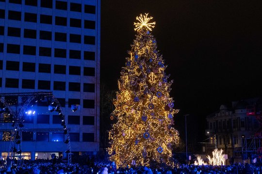 Paaiškėjo daugiau detalių apie Kauno Kalėdų eglę: kas laukia