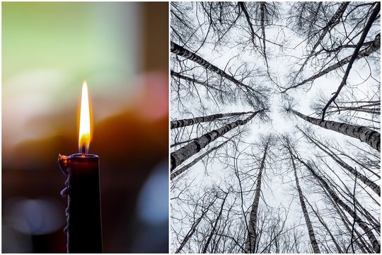 Liūdna paieškų atomazga: nuo spalio dingęs vyras rastas negyvas miške greta Druskininkų