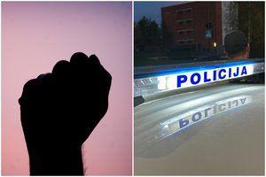 Policija: Lietuvoje išduota daugiau nei 46 tūkst. apsaugos nuo smurto artimoje aplinkoje orderių