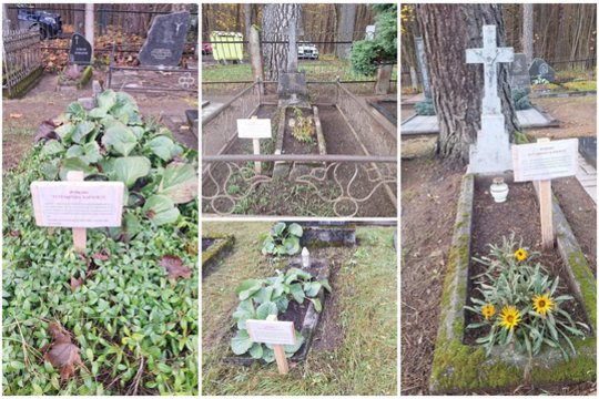 „Net mirusieji ramybės nebeturi“: po Vėlinių Anykščių kapinėse kilęs ginčas iškėlė visos Lietuvos problemą