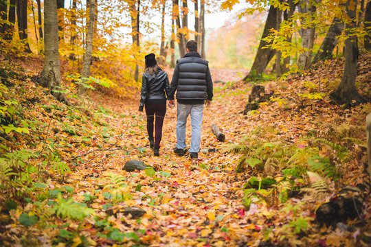 Ramybės paieškose – miško maudynės: kas tai?