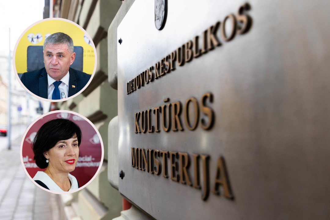 „Socdemai“ nesupranta, ką daro I. Ruginienė: pagrindinė kandidatė į ministres jau nuleido rankas