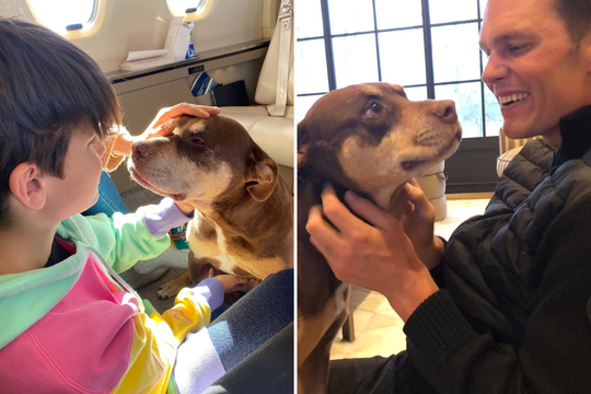 Svajonė tapo realybe: vienas žymiausių JAV sportininkų klonavo savo šunį