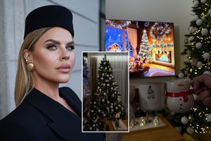 Ingos Žuolytės namuose jau tviska Kalėdų eglė: šiemet taip puošė ne šiaip