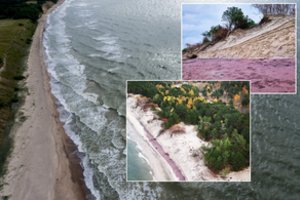 Lenkai negalėjo atsistebėti tuo, ką išvydo Baltijos jūros pakrantėje: pusės kilometro ruožas sužibo violetine spalva