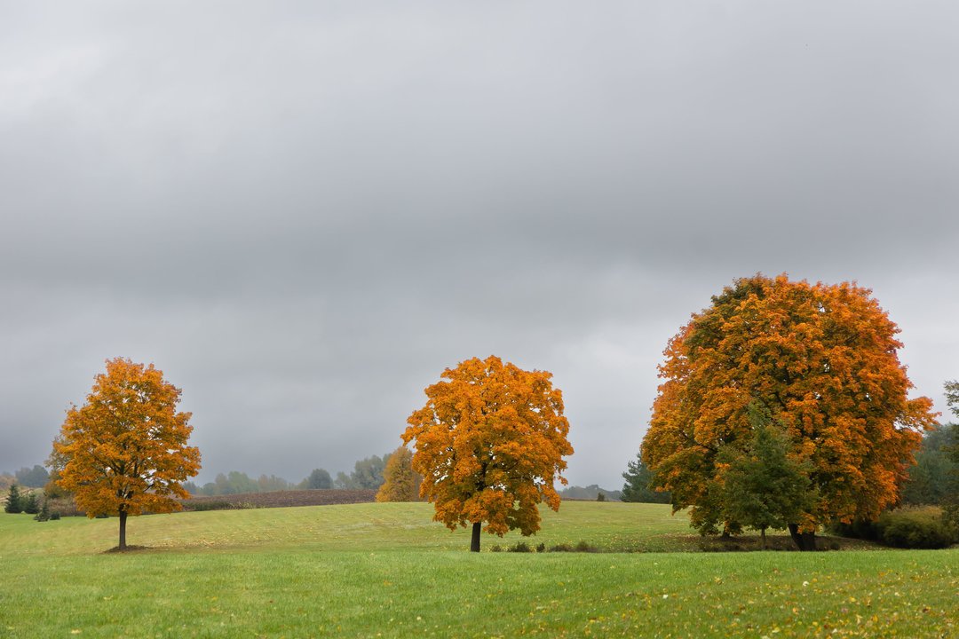 Sinoptikai skelbia, kokie orai laukia savaitgalį: šalį apgaubs rūkas