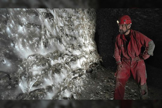 Aptiktas rekordinis voratinklis ir vorų kolonija