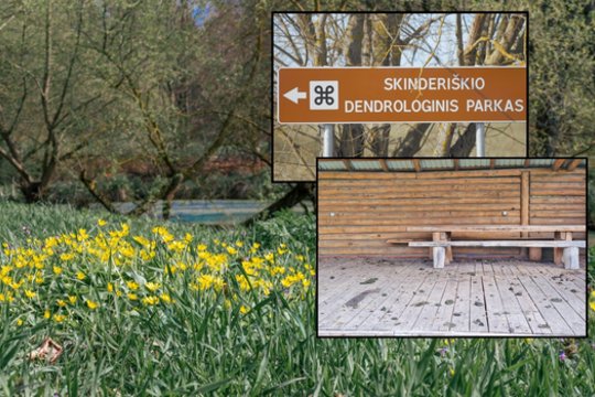 Niokojamas vienas gražiausių Lietuvos kampelių: tėvo puoselėto sodo naikinimu kaltinama jo dukra