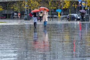Dėl itin mažo dalyvių skaičiaus Lietuvoje biologinės stebėsenos tyrimo rezultatai vėluos